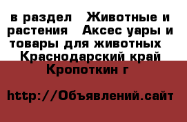  в раздел : Животные и растения » Аксесcуары и товары для животных . Краснодарский край,Кропоткин г.